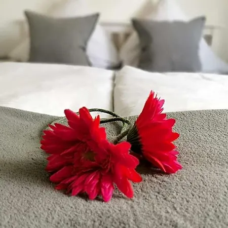 Schenk Hotel 2*